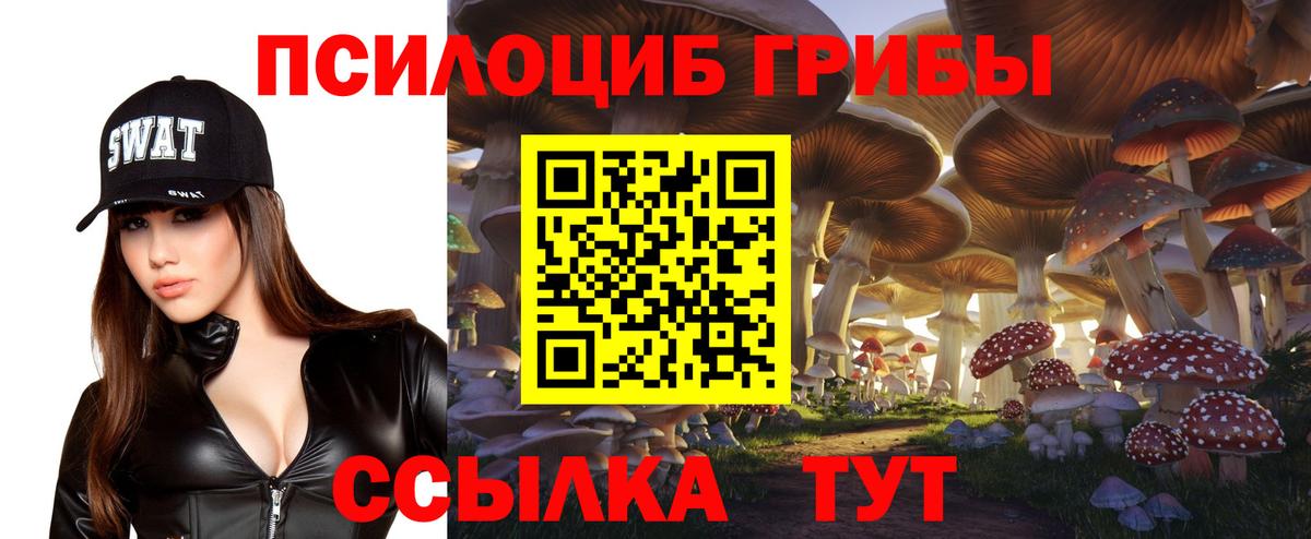 Галлюциногенные грибы Psilocybine cubensis  Вход с VPN  Саров 